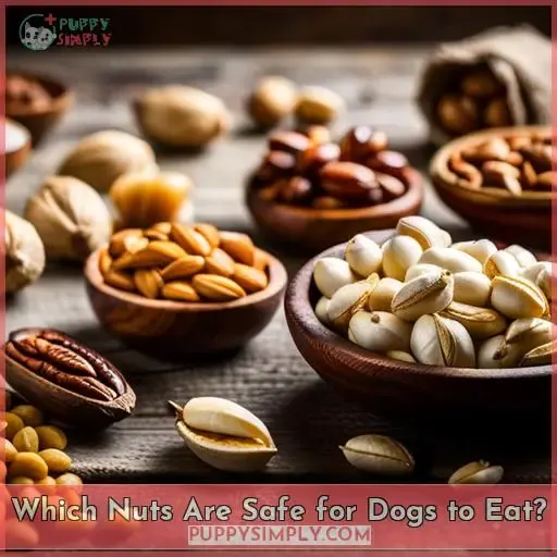 Which Nuts Are Safe for Dogs to Eat