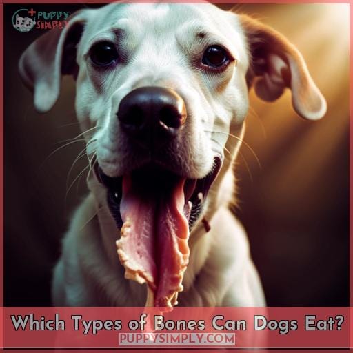 Which Types of Bones Can Dogs Eat?
