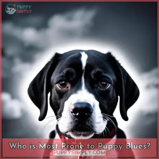 Who is Most Prone to Puppy Blues?