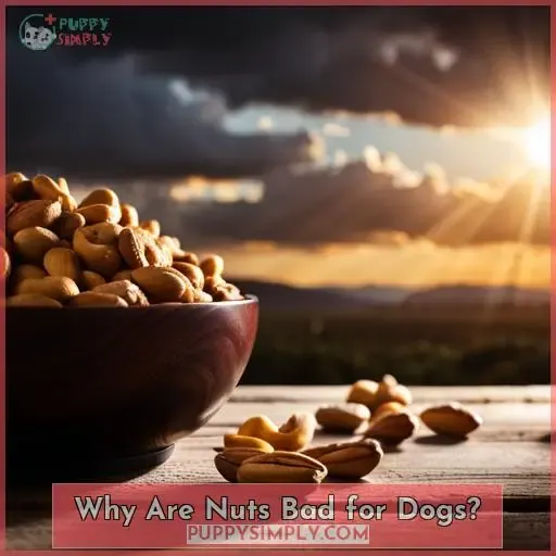 Why Are Nuts Bad for Dogs