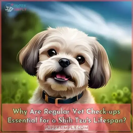 Why Are Regular Vet Check-ups Essential for a Shih Tzu