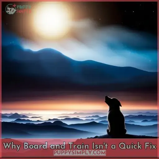 Why Board and Train Isn