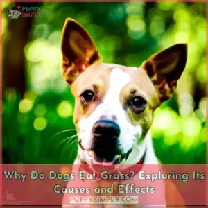 why do dogs eat grass