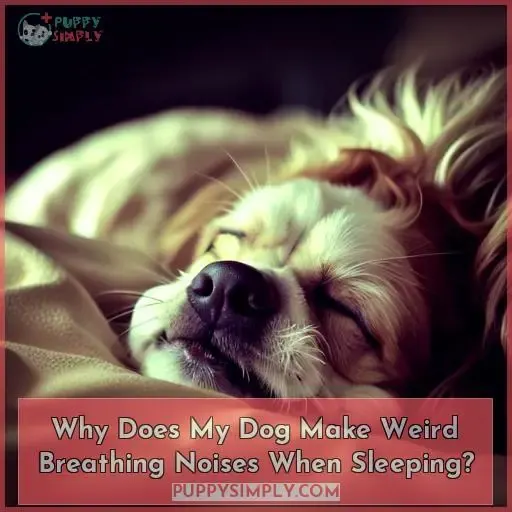 Why Does My Dog Make Weird Breathing Noises When Sleeping?