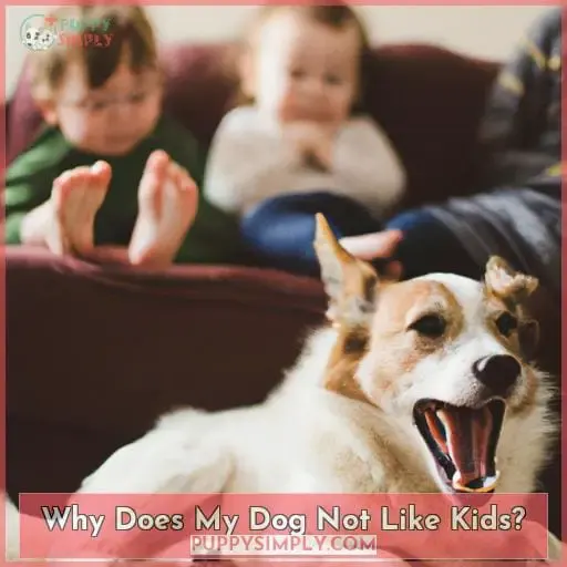 Why Does My Dog Not Like Kids?