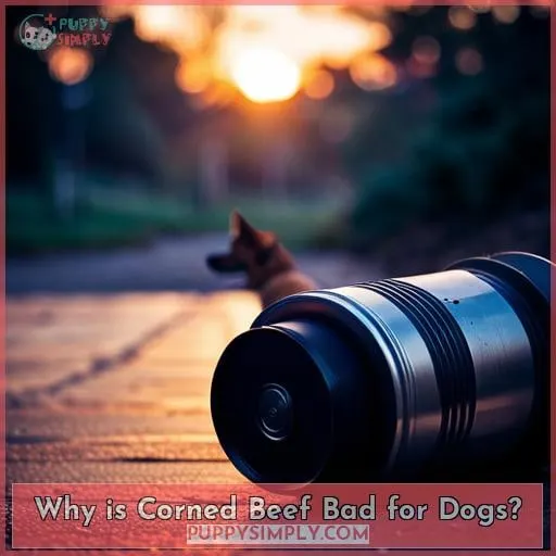 Why is Corned Beef Bad for Dogs?