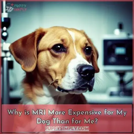 Why is MRI More Expensive for My Dog Than for Me?
