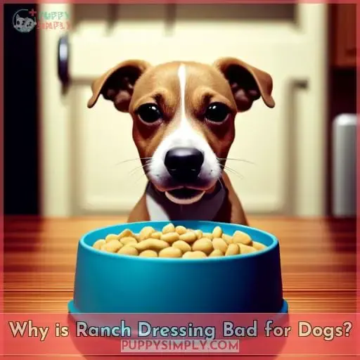 Why is Ranch Dressing Bad for Dogs