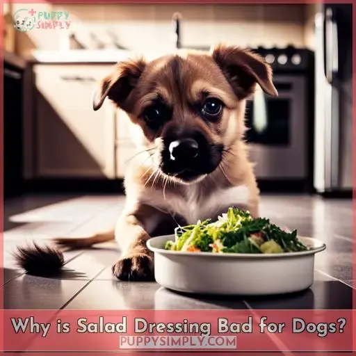 Why is Salad Dressing Bad for Dogs