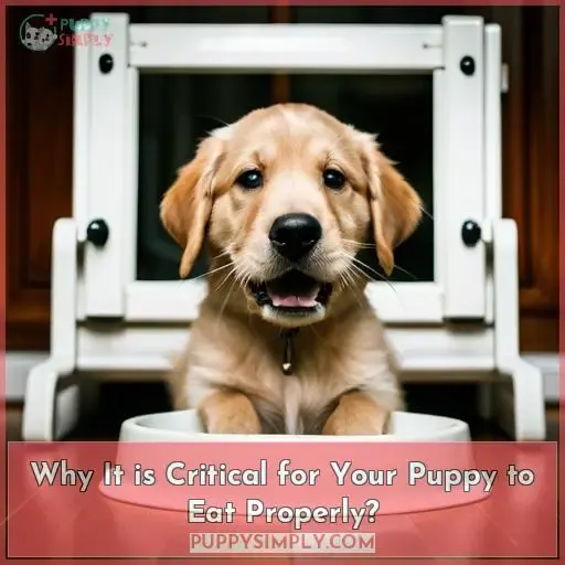 Why It is Critical for Your Puppy to Eat Properly