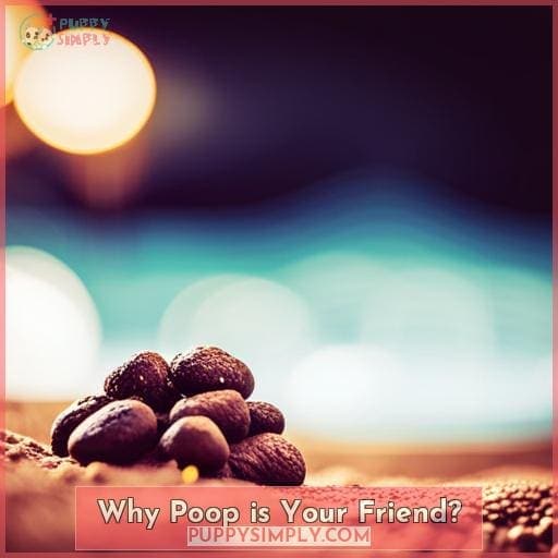 Why Poop is Your Friend?