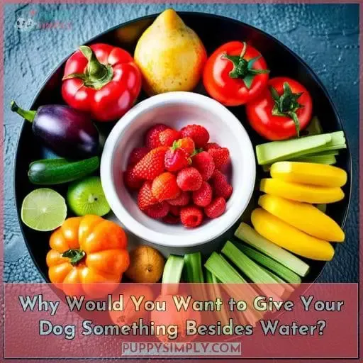 Why Would You Want to Give Your Dog Something Besides Water?