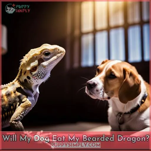 Will My Dog Eat My Bearded Dragon?