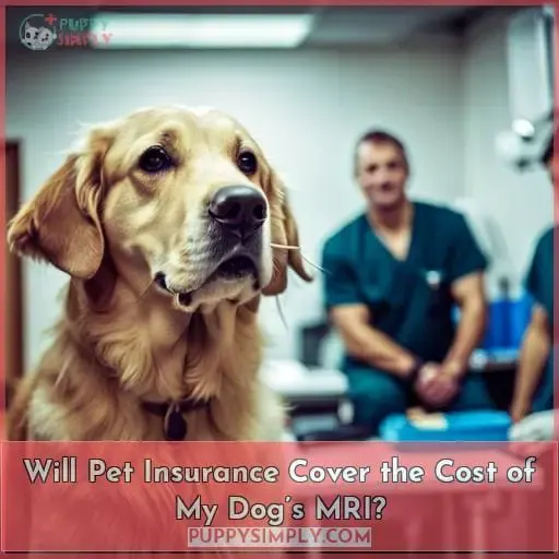 Will Pet Insurance Cover the Cost of My Dog’s MRI?
