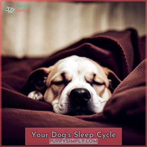 Why Does My Dog Cry In Sleep? Uncovering The Causes