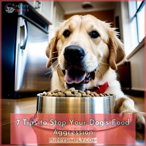 Stop Food Aggression In Dogs: 7 Tips & Prevention