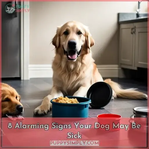 8 alarming signs your dog may be sick