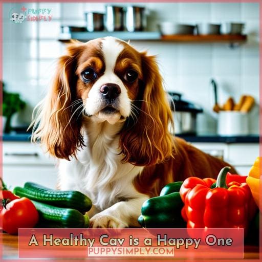 A Healthy Cav is a Happy One