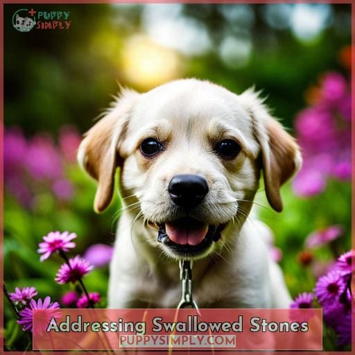 Addressing Swallowed Stones