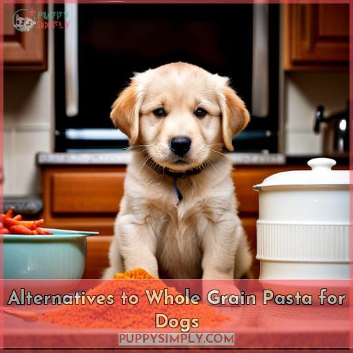 Alternatives to Whole Grain Pasta for Dogs
