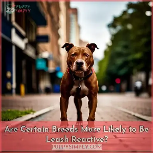 Are Certain Breeds More Likely to Be Leash Reactive