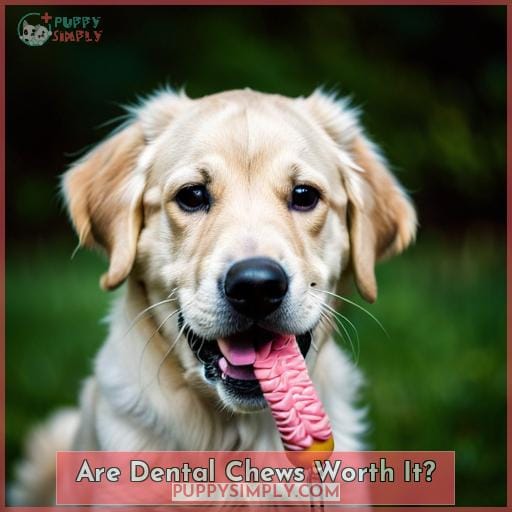Are Dental Chews Worth It