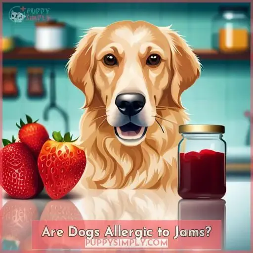 Are Dogs Allergic to Jams