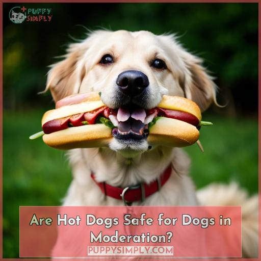 Are Hot Dogs Safe for Dogs in Moderation Are Hot Dogs Safe for Dogs in Moderation