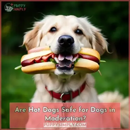 Are Hot Dogs Safe for Dogs in Moderation