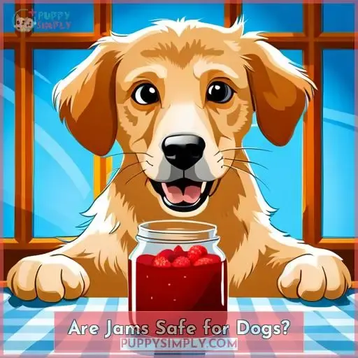 Are Jams Safe for Dogs