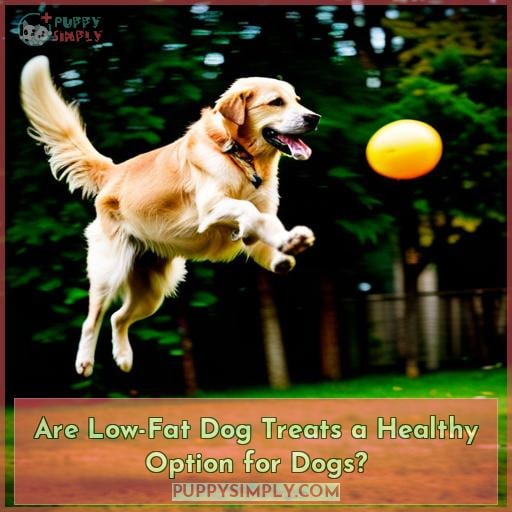 Are Low-Fat Dog Treats a Healthy Option for Dogs