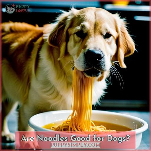 Are Noodles Good for Dogs