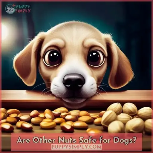 Are Other Nuts Safe for Dogs