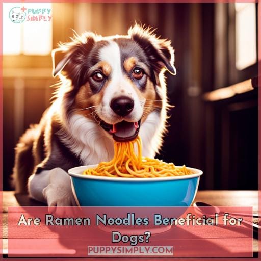 Are Ramen Noodles Beneficial for Dogs