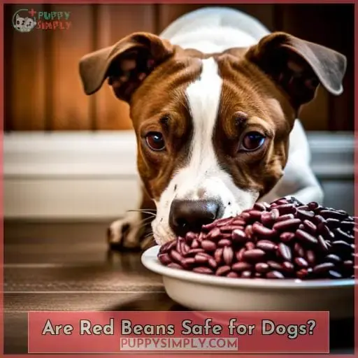 Are Red Beans Safe for Dogs