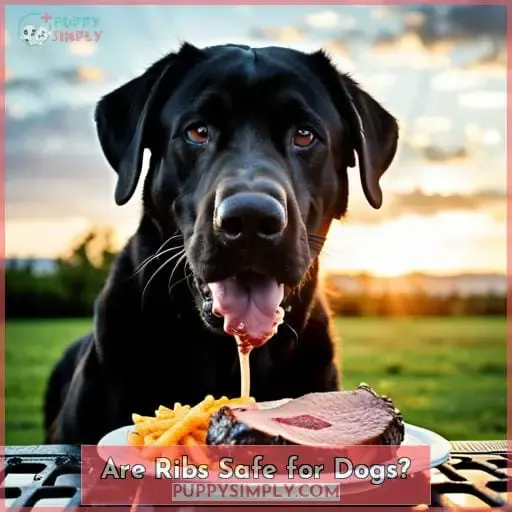 Are Ribs Safe for Dogs