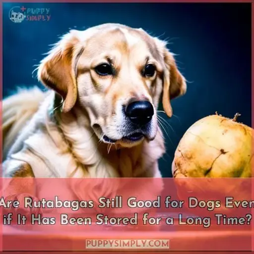 Are Rutabagas Still Good for Dogs Even if It Has Been Stored for a Long Time