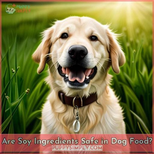 Are Soy Ingredients Safe in Dog Food