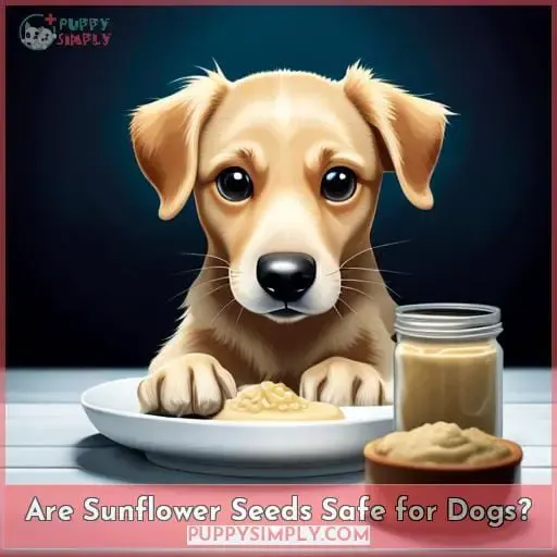 Are Sunflower Seeds Safe for Dogs