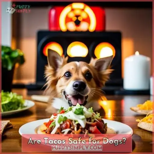 Are Tacos Safe for Dogs