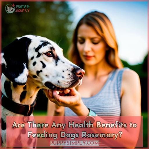 Are There Any Health Benefits to Feeding Dogs Rosemary