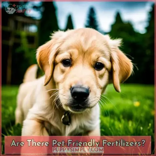 Are There Pet-Friendly Fertilizers