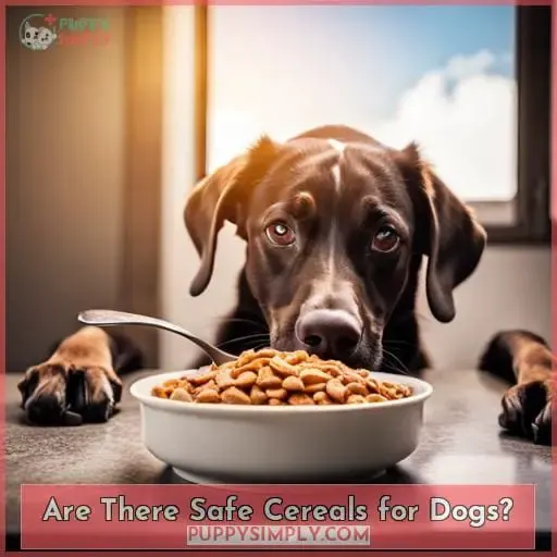 Are There Safe Cereals for Dogs