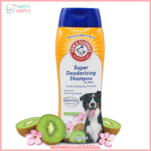 Arm & Hammer Super Deodorizing