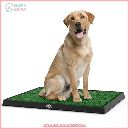 Artificial Grass Puppy Pee Pad