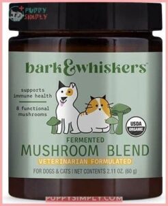 Bark & Whiskers Fermented Mushroom 162856