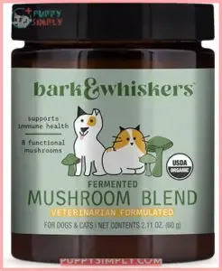 Bark & Whiskers Fermented Mushroom