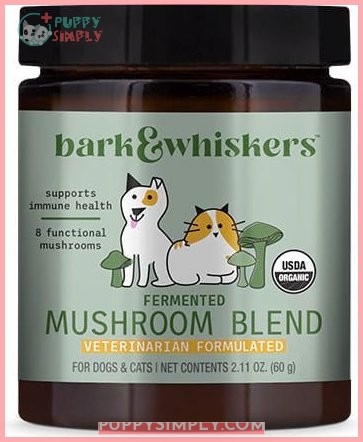 Bark & Whiskers Fermented Mushroom