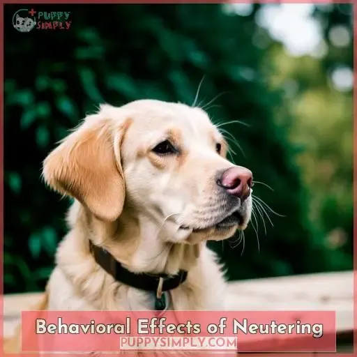 Behavioral Effects of Neutering