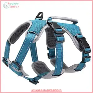 BELPRO Multi-Use Support Dog Harness,